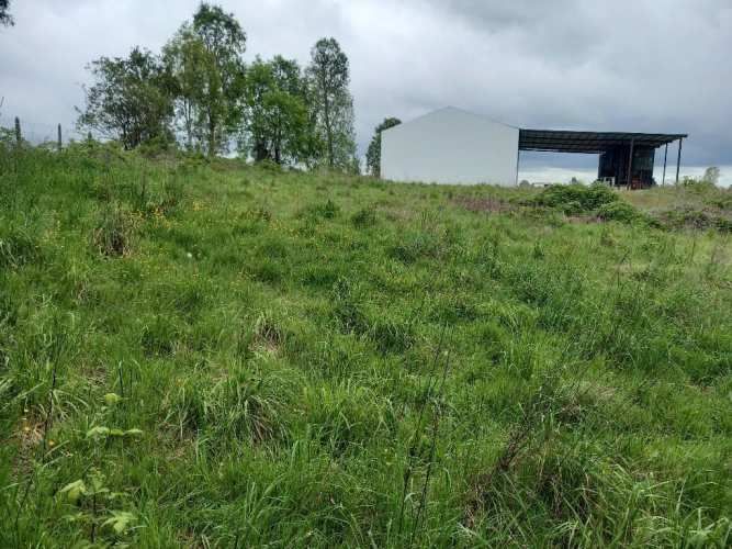 BODEGA GALPON PARCELA FRUTILLAR CASMASOFICINAS 40 PIES