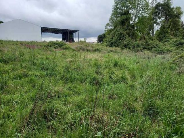 BODEGA GALPON PARCELA FRUTILLAR CASMASOFICINAS 40 PIES