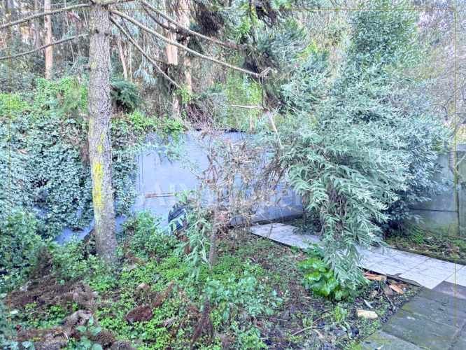 Amplia Casa Familiar en San Pedro (104516)