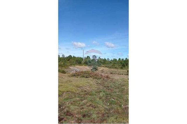 Venta de parcela colonia 3 puentes. puerto varas