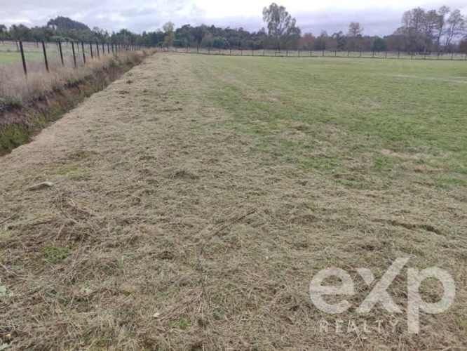 PARCELA Junta vecinal Los radales