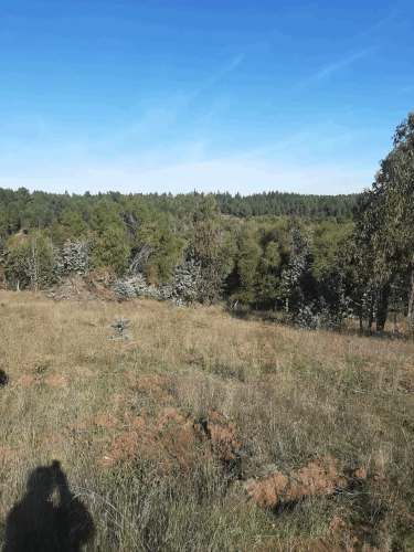 Gran parcela 4,5 hectáreas –  Colliguay/Ñuble – Rol propio