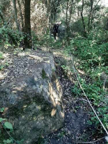 Gran parcela 4,5 hectáreas –  Colliguay/Ñuble – Rol propio