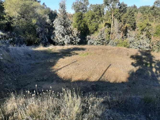 Gran parcela 4,5 hectáreas –  Colliguay/Ñuble – Rol propio