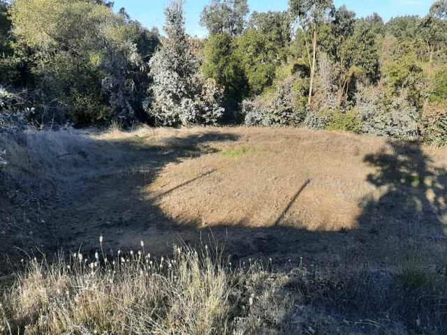 Gran parcela 4,5 hectáreas –  Colliguay/Ñuble – Rol propio