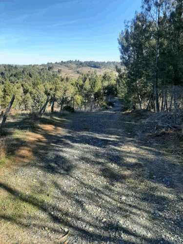 Gran parcela 4,5 hectáreas –  Colliguay/Ñuble – Rol propio