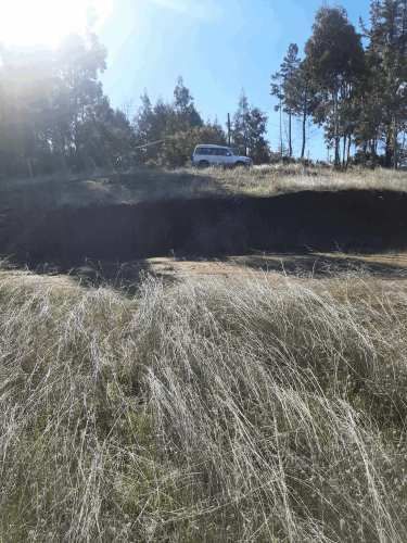 Gran parcela 4,5 hectáreas –  Colliguay/Ñuble – Rol propio