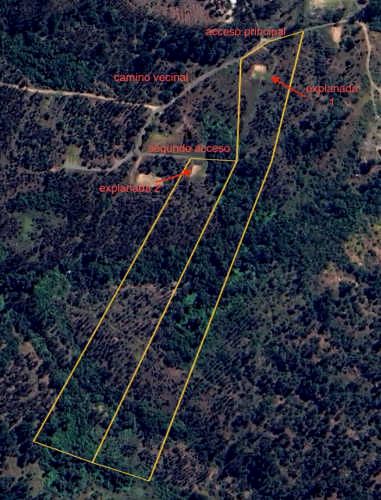 Gran parcela 4,5 hectáreas –  Colliguay/Ñuble – Rol propio