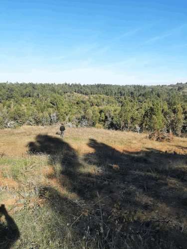 Gran parcela 4,5 hectáreas –  Colliguay/Ñuble – Rol propio