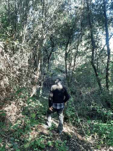 Gran parcela 4,5 hectáreas –  Colliguay/Ñuble – Rol propio