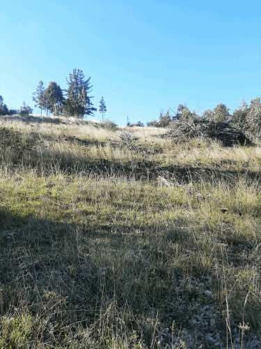 Gran parcela 4,5 hectáreas –  Colliguay/Ñuble – Rol propio