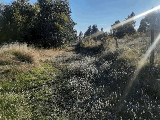 Gran parcela 4,5 hectáreas –  Colliguay/Ñuble – Rol propio