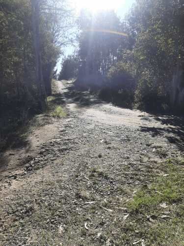 Gran parcela 4,5 hectáreas –  Colliguay/Ñuble – Rol propio