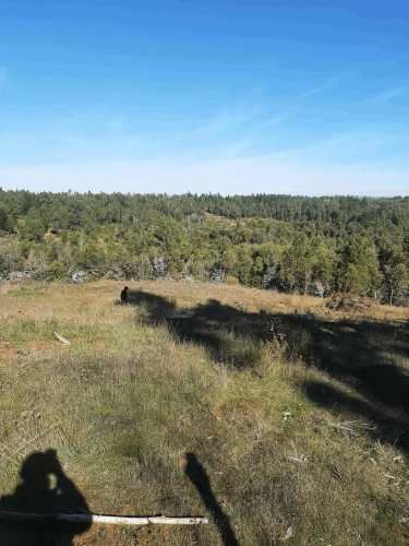 Gran parcela 4,5 hectáreas –  Colliguay/Ñuble – Rol propio