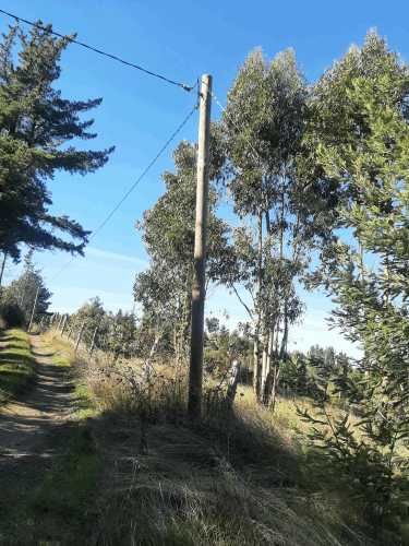 Gran parcela 4,5 hectáreas –  Colliguay/Ñuble – Rol propio