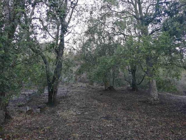 PARCELA sector altos de miraflores