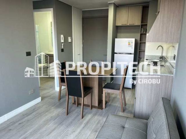 OFERTA AMOBLADO, 1 Hab + 1 B, Piso 3, LA CISTERNA