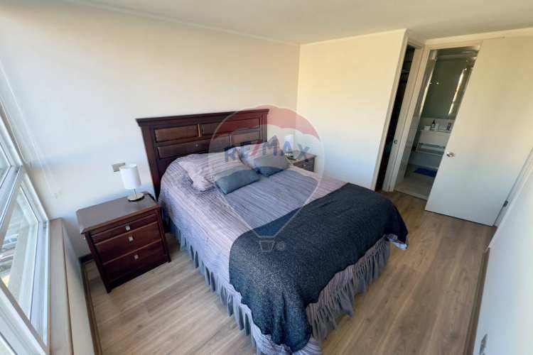 Smart vicuña mackenna