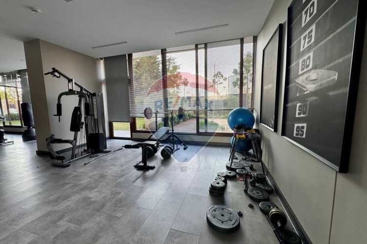 Smart vicuña mackenna