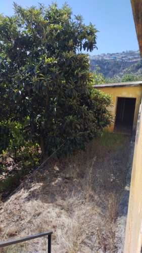 Busco los mejores dueños!