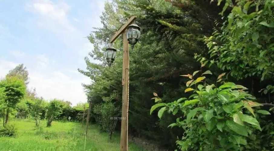 AUTOPISTA DEL SOL  (105077)