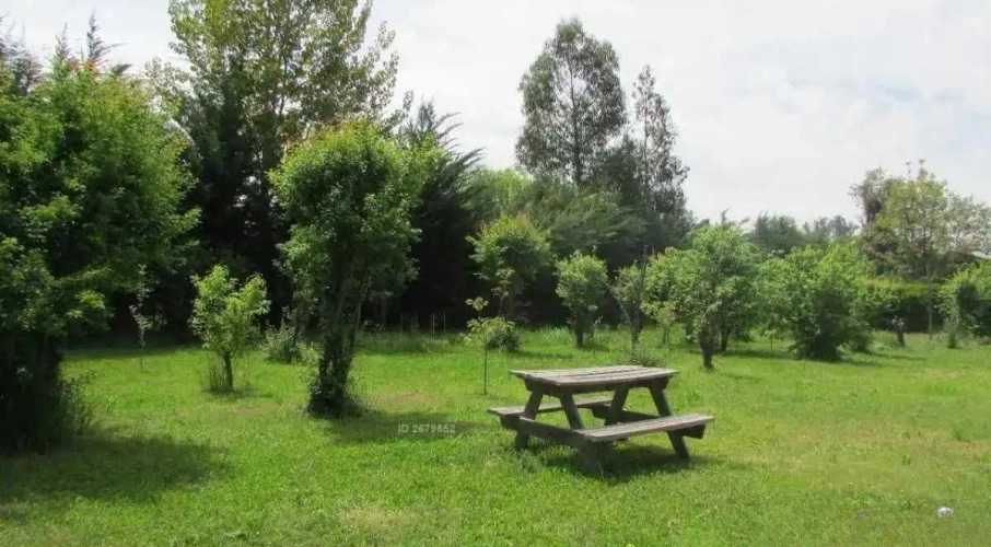 AUTOPISTA DEL SOL  (105077)