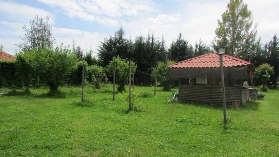 AUTOPISTA DEL SOL  (105077)