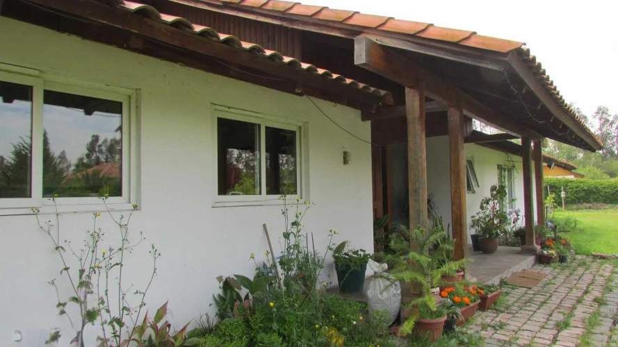 AUTOPISTA DEL SOL  (105077)