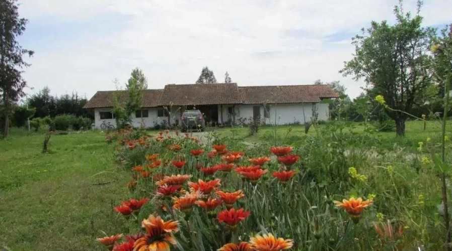 AUTOPISTA DEL SOL  (105077)