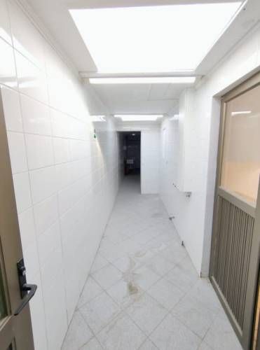 Casa EL TREBÓL // CAMINO LONQUÉN