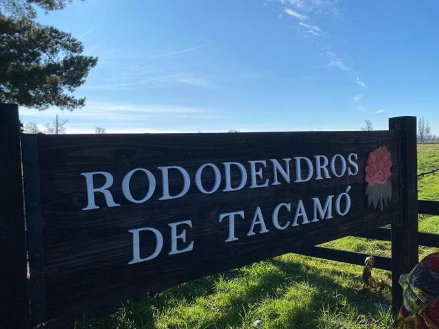 Parcela, Loteo Rododendros de Tacamó (105143)