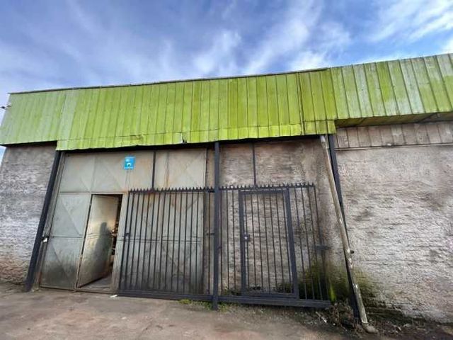 BODEGA Pedro de Valdivia