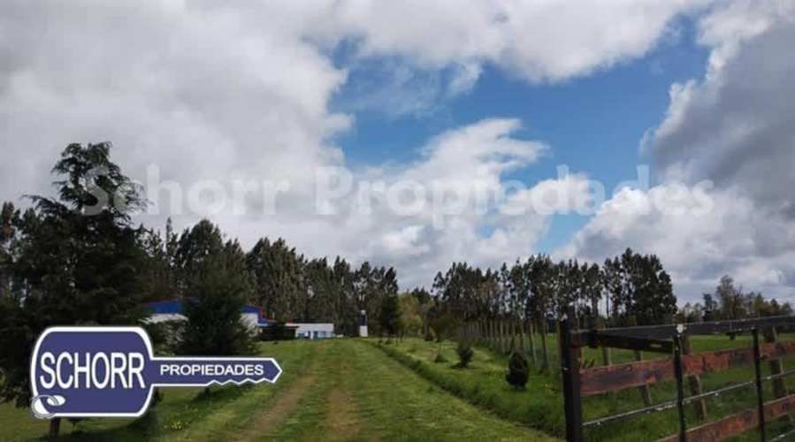 BODEGA Bodega Purranque