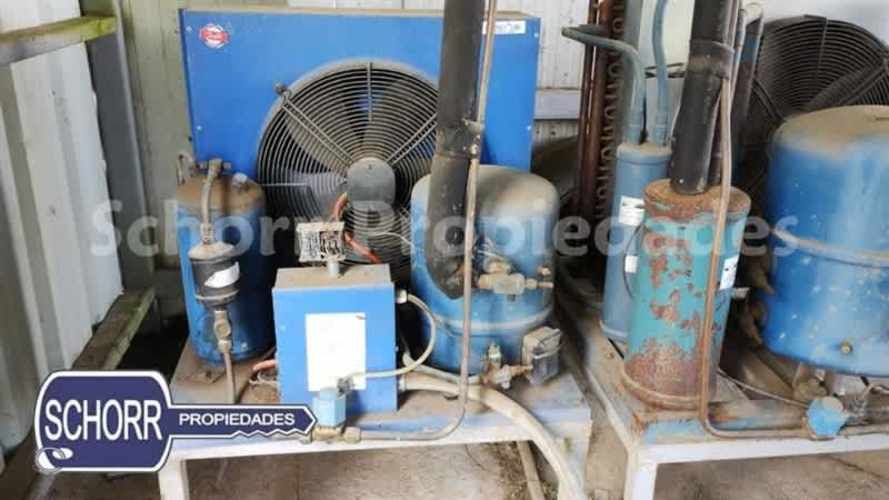 BODEGA Bodega Purranque