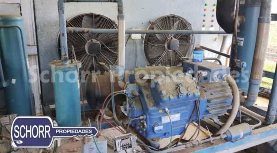 BODEGA Bodega Purranque