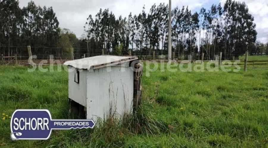 BODEGA Bodega Purranque