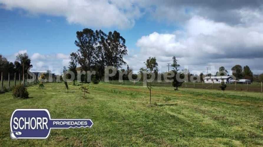 BODEGA Bodega Purranque