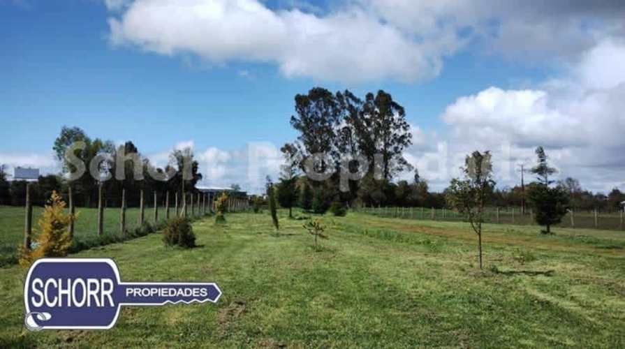 BODEGA Bodega Purranque