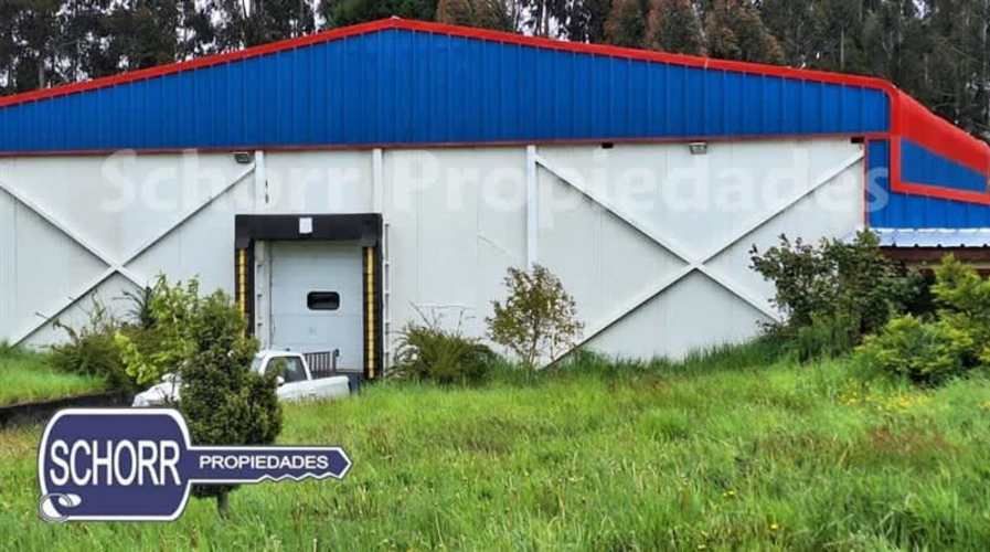 BODEGA Bodega Purranque