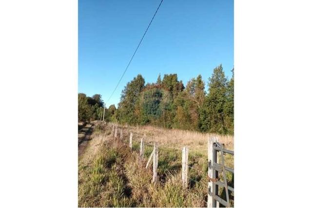 Parcela y galpón,  cerca de lago riñihue"
