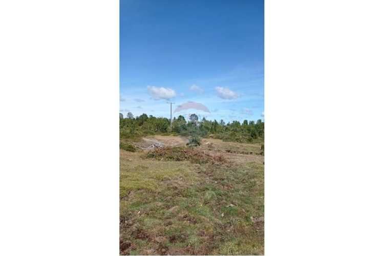 Venta de campo en calbuco