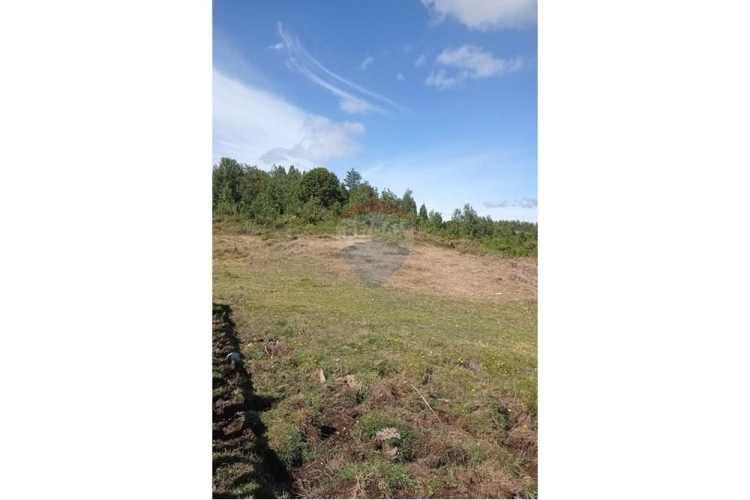Venta de campo en calbuco