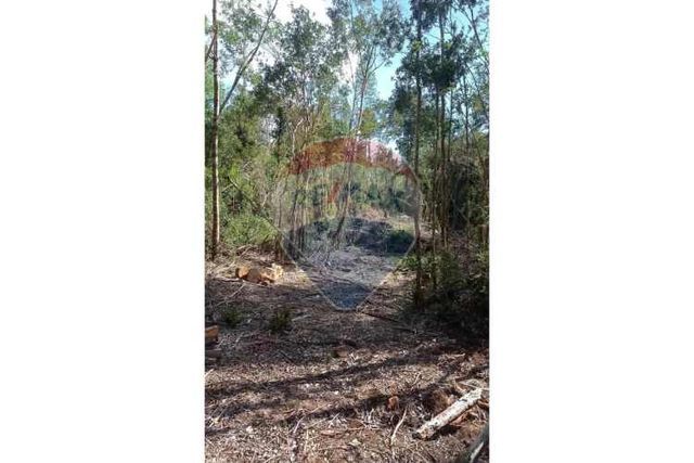 Venta de campo en calbuco