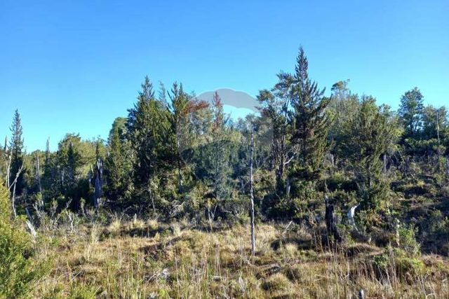 Vende/ parcela 184 en doña catalina/ el mañío