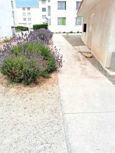 DEPARTAMENTO Villa La Florida