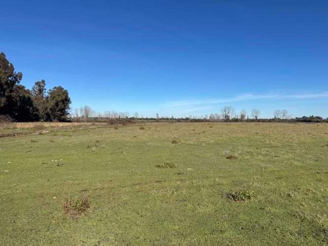 Campo agrícola 78 hectáreas comuna de Coihueco, Chillán