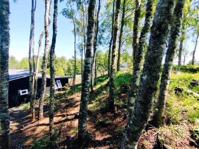 VENDO PARCELA 5000 M2. COMUNA DE LONCOCHE. CODIGO #1013