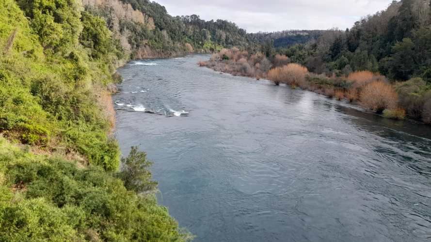Venta de hermosa Parcela camino a Panguipulli Los Lagos