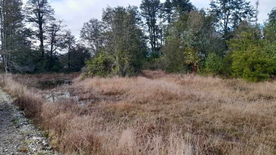 Venta de hermosa Parcela camino a Panguipulli Los Lagos