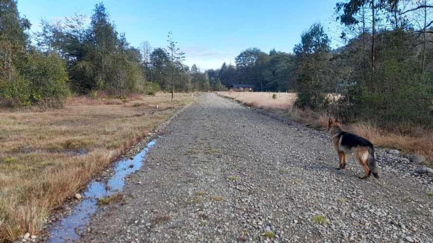 Venta de hermosa Parcela camino a Panguipulli Los Lagos